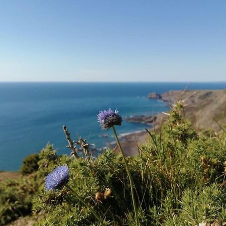 Kiberick Cottage At Crackington Haven, Near Bude And Boscastle, Cornwall Eksteriør bilde