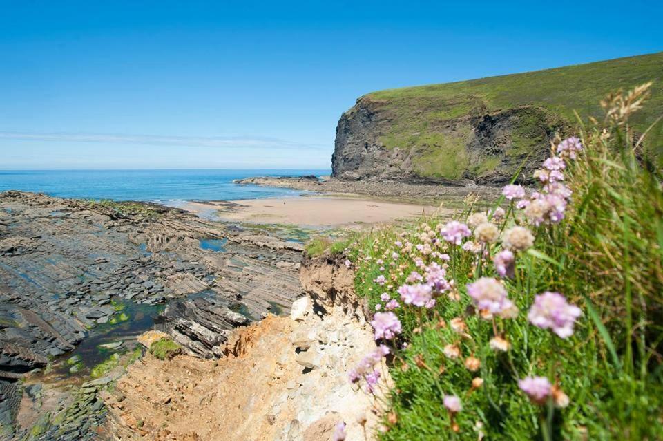 Kiberick Cottage At Crackington Haven, Near Bude And Boscastle, Cornwall Eksteriør bilde