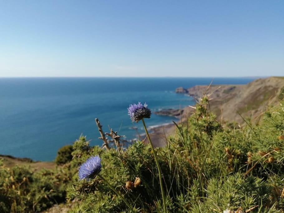 Kiberick Cottage At Crackington Haven, Near Bude And Boscastle, Cornwall Eksteriør bilde